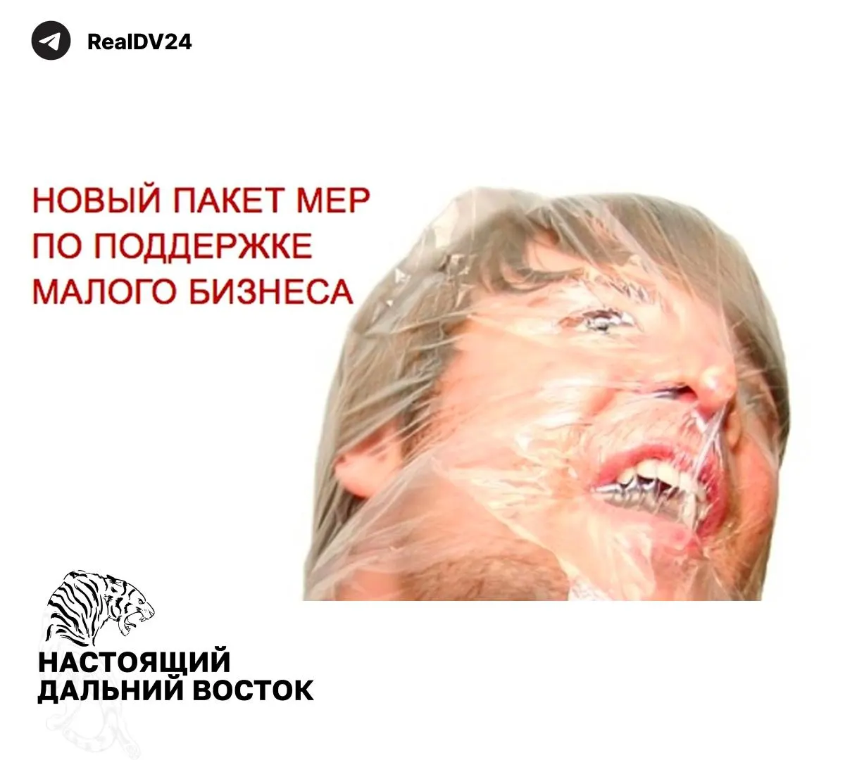 ФНС направила регионам пакет мер для увеличения налоговых поступлений — от пересмотра льгот до повышения транспортного налога — чтобы сократить дефициты местных бюджетов.