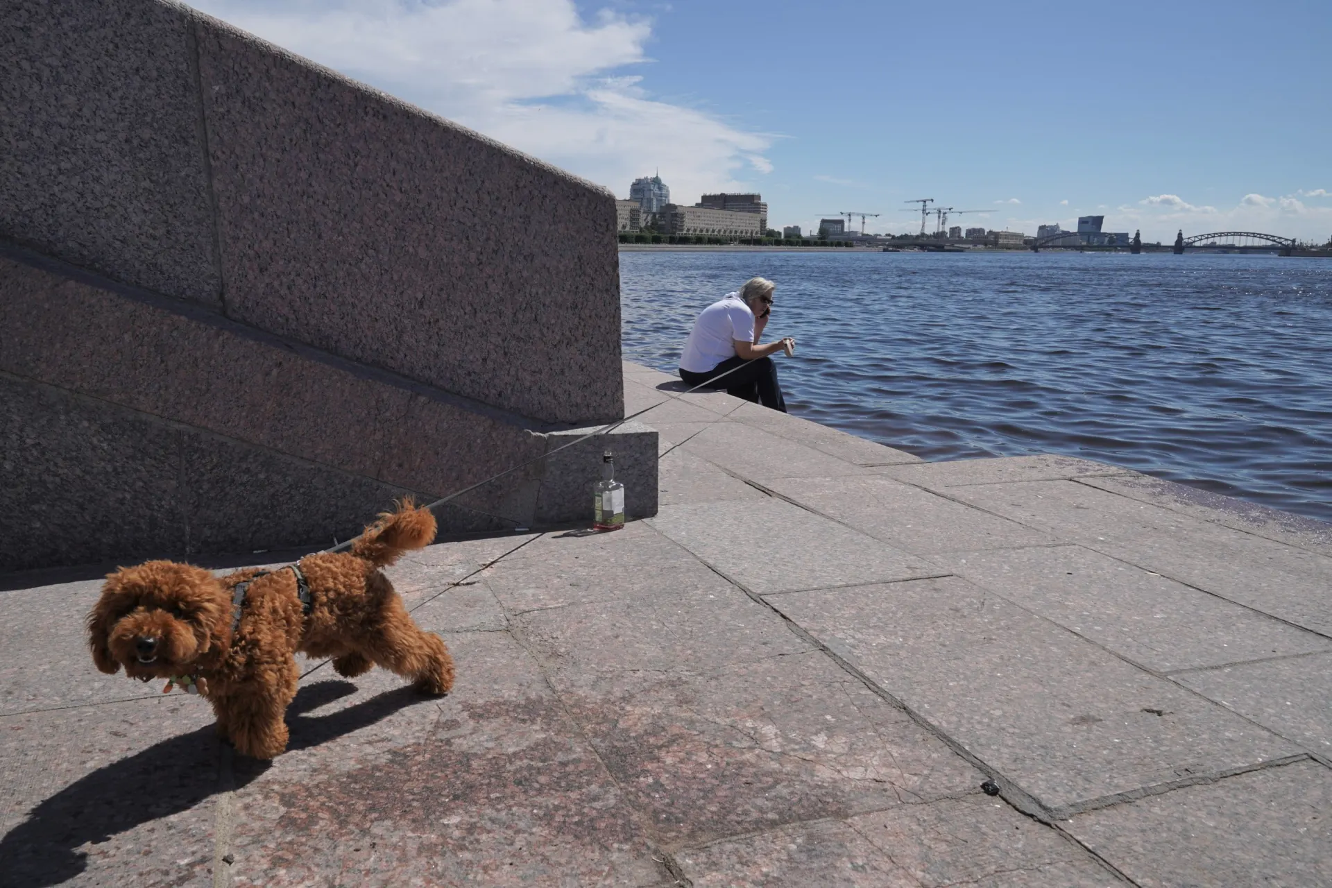 В Петербурге тёплый солнечный день — воздух прогрелся до +20…+22 °C. Жители города вышли на улицы и отдыхали на набережных и в парках.