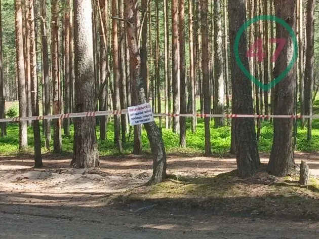 После ночной атаки беспилотников в районе Большой Ижоры продолжают обезвреживать взрывоопасные предметы. Закрыты трасса 41А‑007 и ж/д ветка, изменено автобусное и железнодорожное сообщение, часть жителей эвакуировали и затем вернули домой.