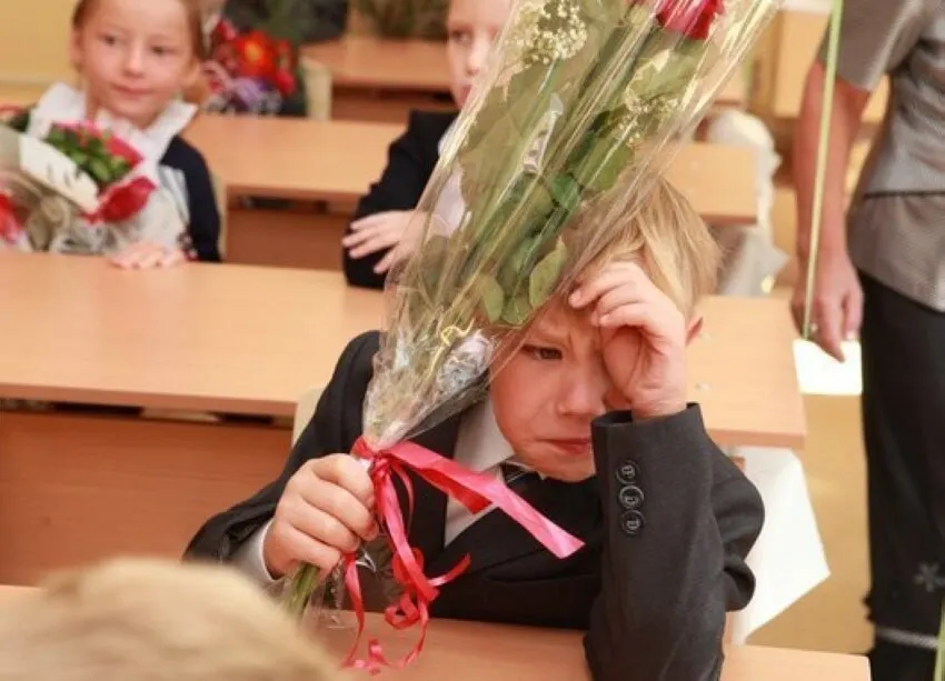 В Минпросвещения сообщили, что 11 лет обучения считаются оптимальными; ни о сокращении, ни о продлении сроков речи не идёт, а все стандарты будут разрабатываться с расчётом на 11 классов.