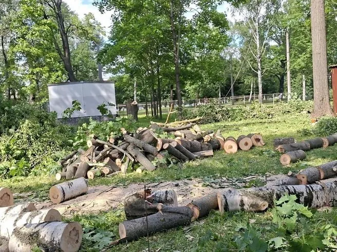 В сквере рядом с дацаном вырубили 46 кустарников и 48 деревьев. По жалобам жителей выяснилось, что территорию обновят: установят памятник пограничникам, проложат аллею, поставят скамейки и светильники, а также посадят 64 дерева и 1306 кустарников. Работы оценили в 142,4 млн рублей и планируют завершить к Дню пограничника 2027 года.