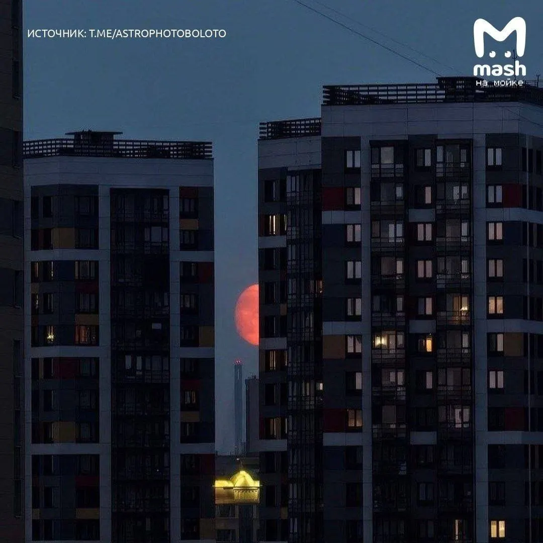 Июльское полнолуние, прозванное «Оленьей Луной», впечатлило жителей Петербурга; пик явления ожидается в ночь на 29 июля.
