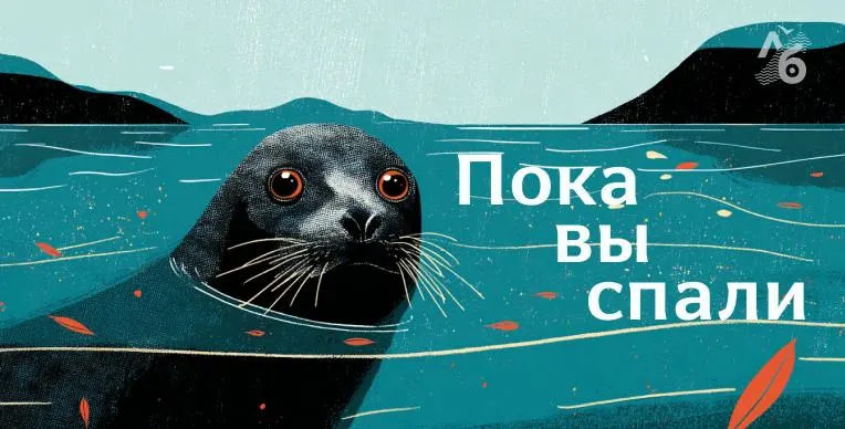 Краткий обзор ключевых новостей: в Тюмени при задержании убит мужчина, в Петербурге возможные проблемы с допуском оппозиционных кандидатов, утечка диалогов с китайской нейросетью, массовая гибель рыбы во Владимирской области, арест москвича за выгуливание козы и решение правителя Никарагуа прекратить выборы.