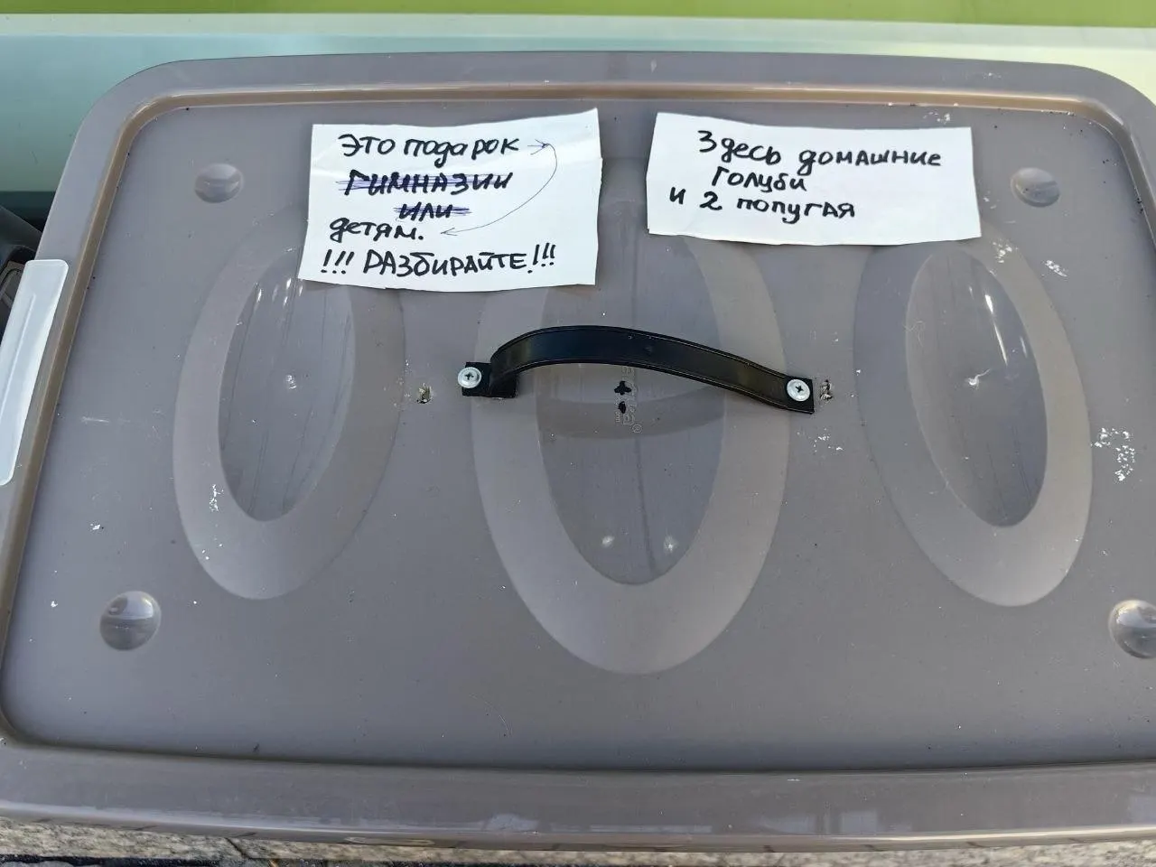 Неизвестный оставил контейнер с надписью «Подарок детям. Забирайте»; внутри нашли девять голубей и два волнистых попугая. Спаслись только два голубя, девять погибли. Полиция ведет проверку.