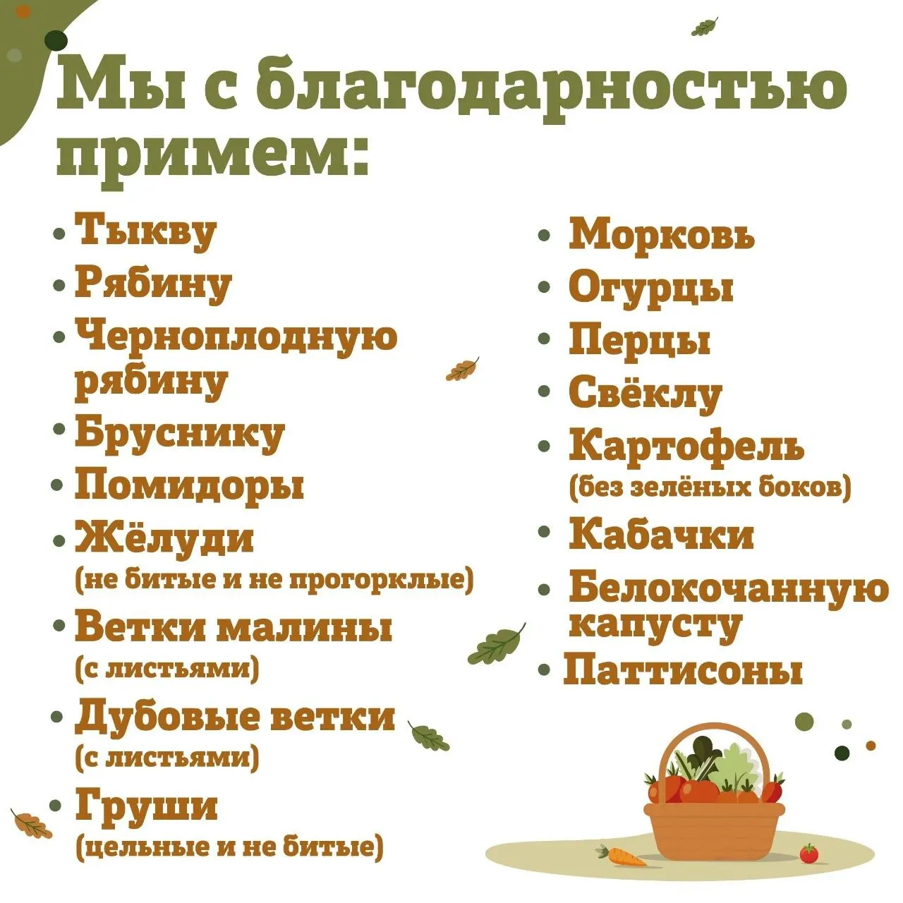 Зоопарк Санкт-Петербурга завершает сбор желуди в рамках акции «Дары осени».
