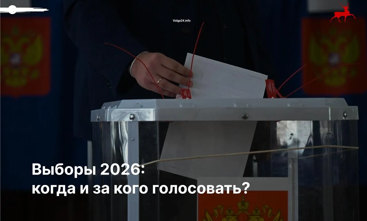 Руководство по предстоящему голосованию: как прийти на участок вовремя, что делать при нарушениях и какие кандидаты рассматривать.