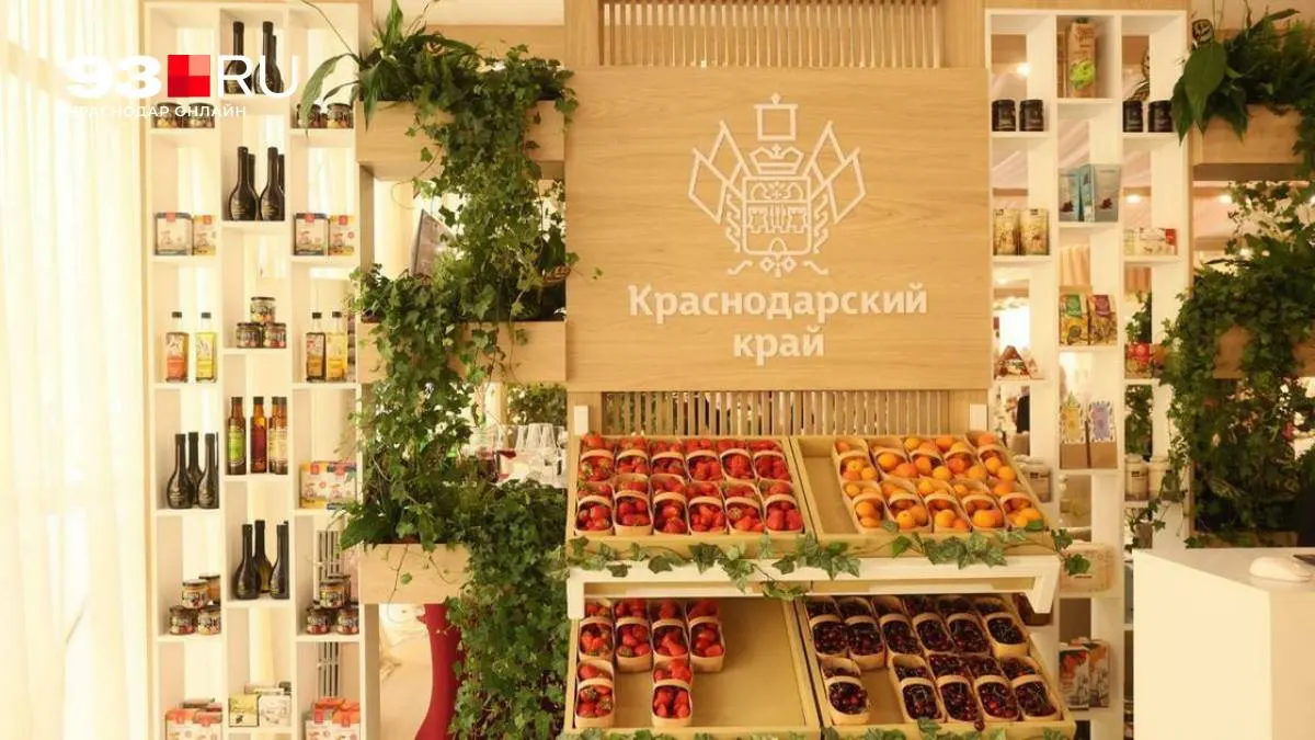 Кубань организует отдельный павильон на Петербургском международном экономическом форуме: переговорные зоны, презентации, дегустации и закрытые площадки. Власти рассчитывают на около 50 инвестиционных соглашений.