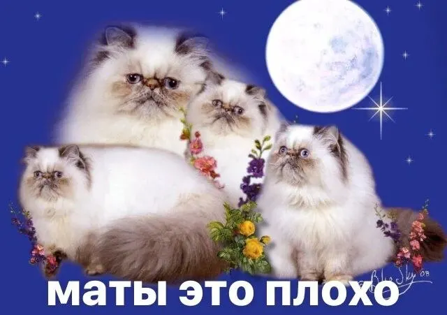 Городское предприятие закупит сервис с голосовым ассистентом за 380 млн рублей: робот должен будет обслуживать не менее 90% звонков в 112 и другие госорганы и отрабатывать грубые ответы по заданным сценариям.