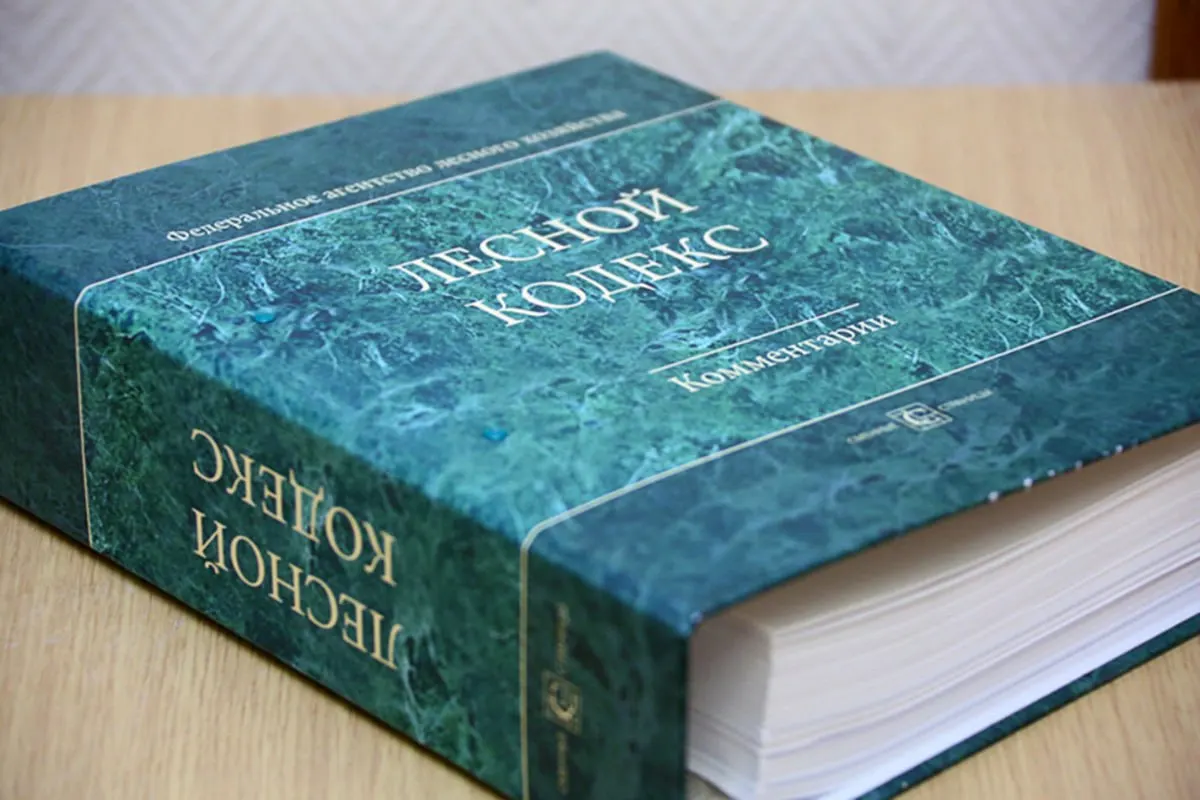 Эксперт по лесам считает, что многочисленные поправки фактически лишили Лесной кодекс 2006 года первоначального смысла и предлагают его радикально упростить и заменить.