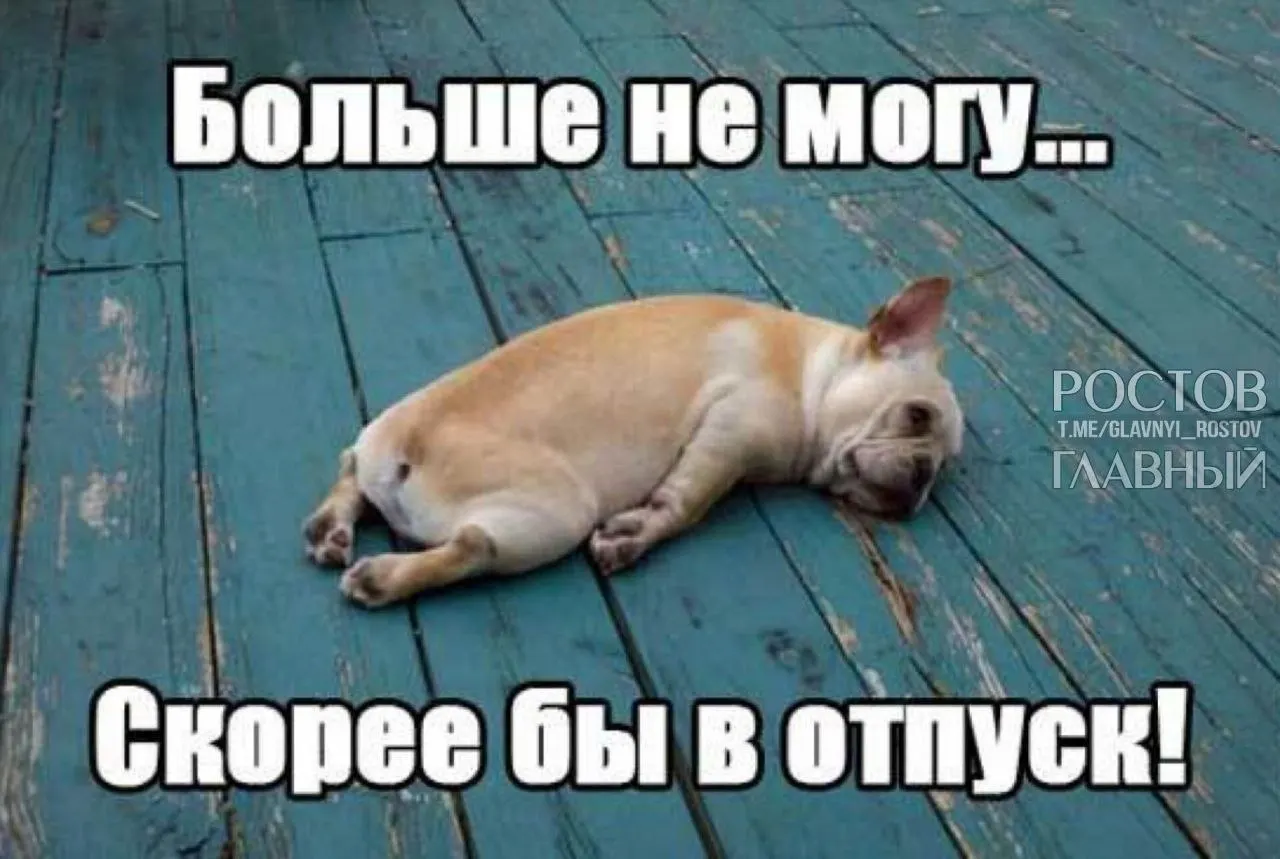 Депутаты Госдумы предложили увеличить минимальную продолжительность отпуска с 28 до 35 дней, чтобы компенсировать выходные в составе отпуска и снизить риск выгорания.