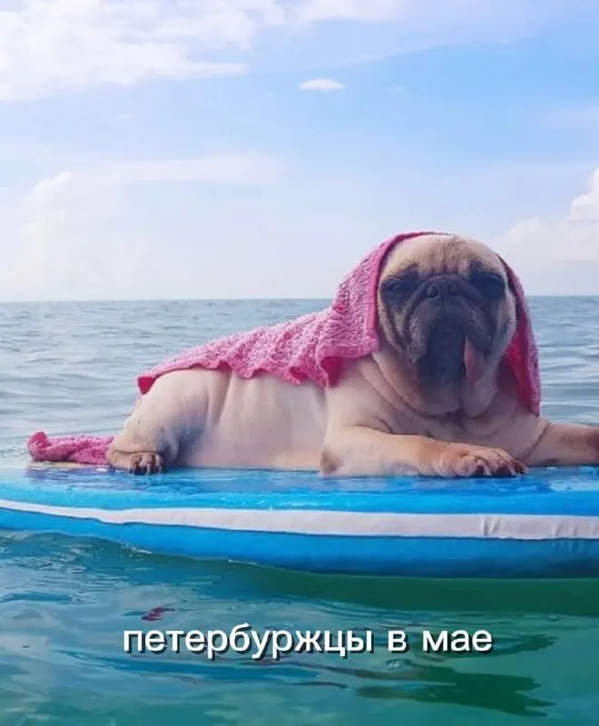 На следующей неделе синоптики прогнозируют в Санкт-Петербурге тёплую погоду — 22–27 °C, в отдельные дни температура может приблизиться к +30.
