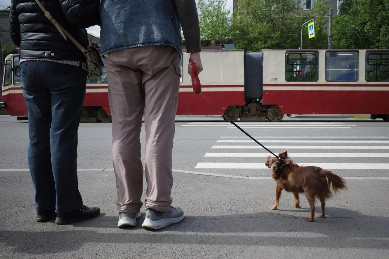 Утром в городе около +11°C, днем +14...+16°C. Ветер умеренный, возможны короткие дожди.