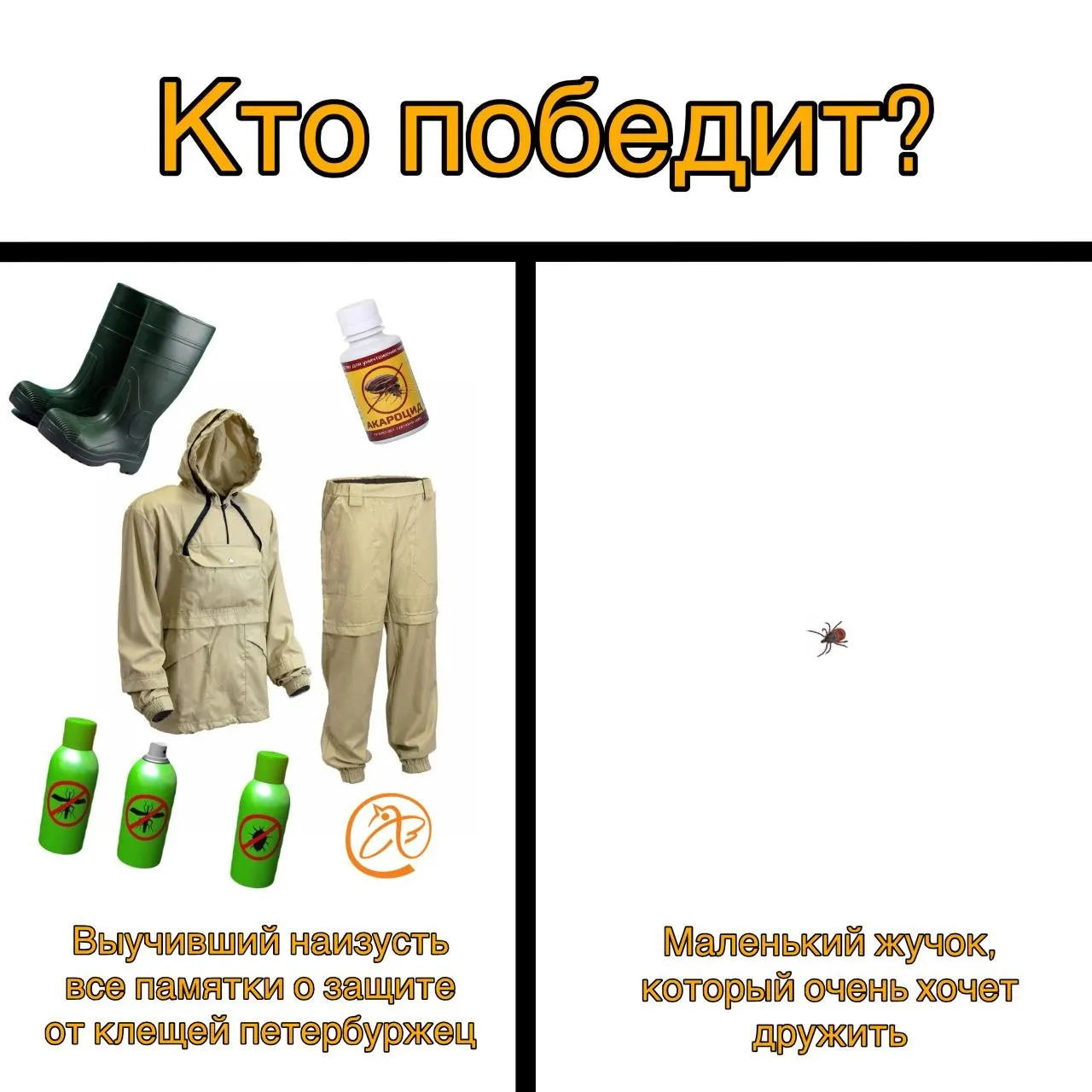 За последние семь дней от нападений клещей пострадали более 1,5 тысячи жителей Петербурга и Ленинградской области, в том числе почти 400 детей. Зарегистрированы четыре случая боррелиоза, случаев энцефалита не зафиксировано.