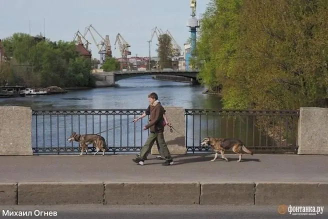 Холодный атмосферный фронт принесёт сильные осадки: в ближайшие дни возможны дожди, грозы, град и шквалы, а в выходные вновь потеплеет.