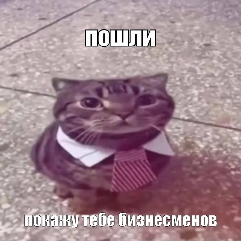 На&nbsp;ПМЭФ‑2026 появится персональное сопровождение за&nbsp;150&nbsp;000&nbsp;₽ в&nbsp;сутки