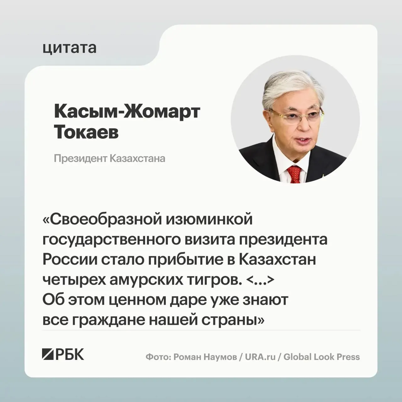 Президентам России и Казахстана показали презентацию о передаче амурских тигров в Астану — это ответ на просьбу Казахстана о помощи в возрождении популяции.