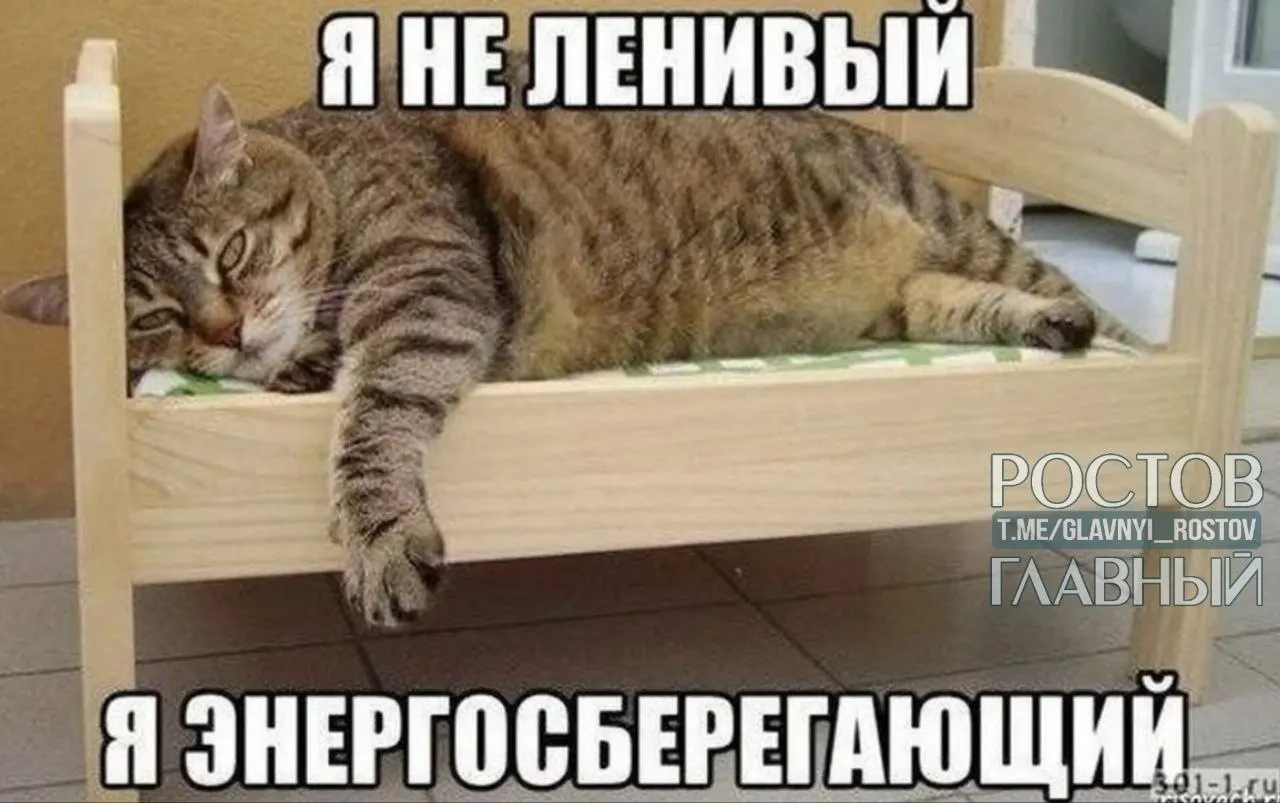 Опрос показал, что желание сократить рабочий день до шести часов наиболее распространено в Нижнем Новгороде, Перми и Воронеже; петербуржцы чаще всего хотят вовсе не работать, а больше всего трудоголиков — в Краснодаре и Ростове‑на‑Дону.