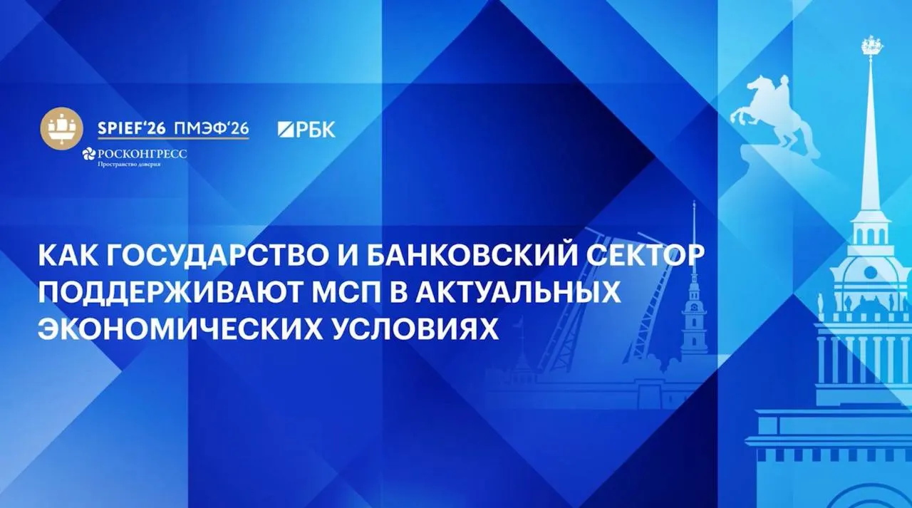 На ПМЭФ участники обсудили трансформацию мер господдержки, развитие платформенной экономики и инструменты для повышения производительности МСП.