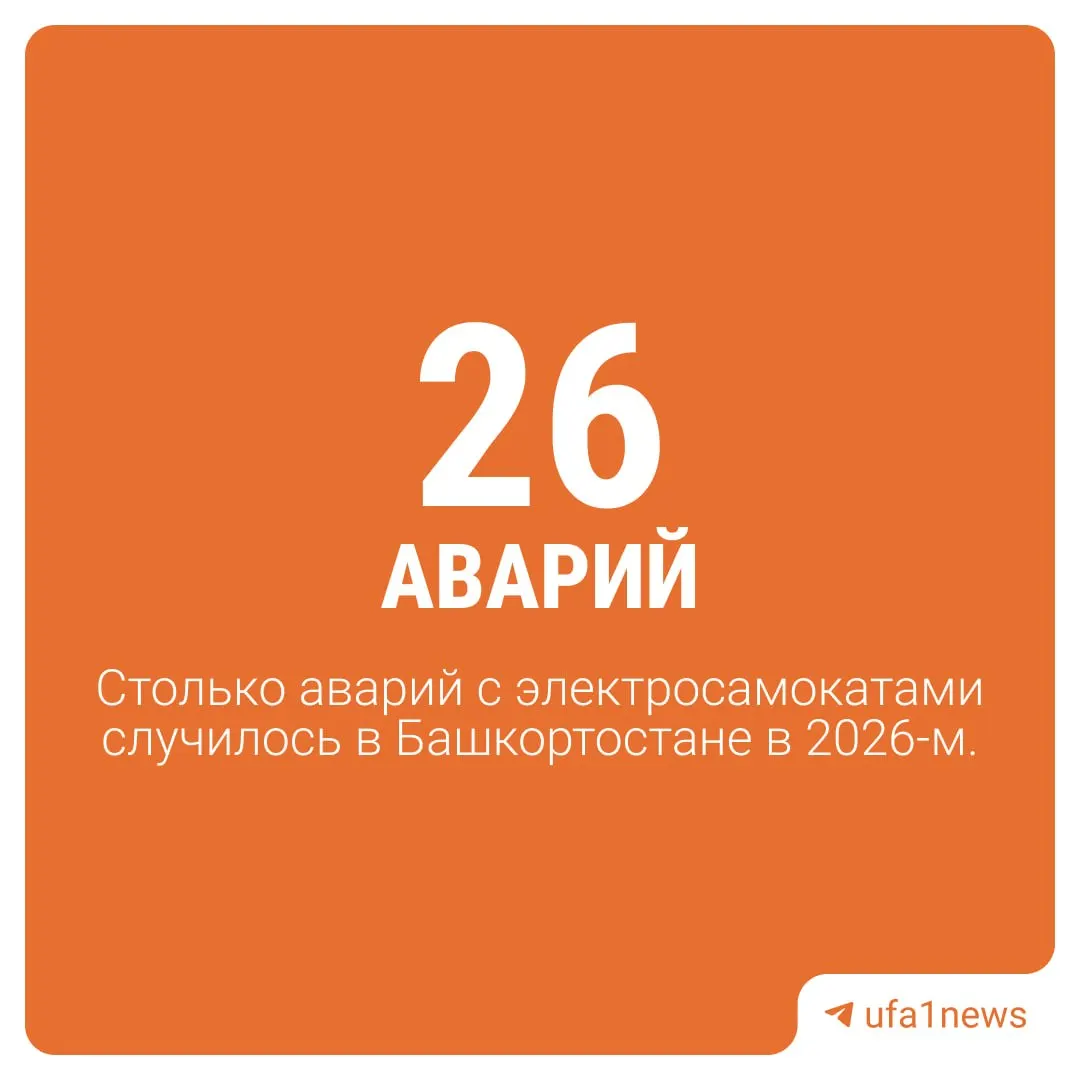 Москва лидирует с 263 ДТП, Санкт-Петербург — на втором месте. В Башкортостане зафиксировано 26 подобных инцидентов, что обеспечивает республике восьмое место в стране по данным отчёта ГАИ.