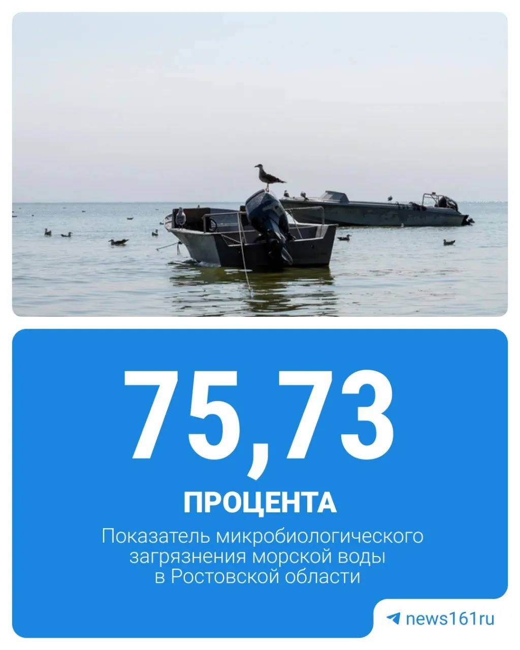 Роспотребнадзор: 75,73% проб на побережье Таганрогского залива не соответствуют нормам; хуже ситуация только в Санкт-Петербурге и Хабаровском крае.