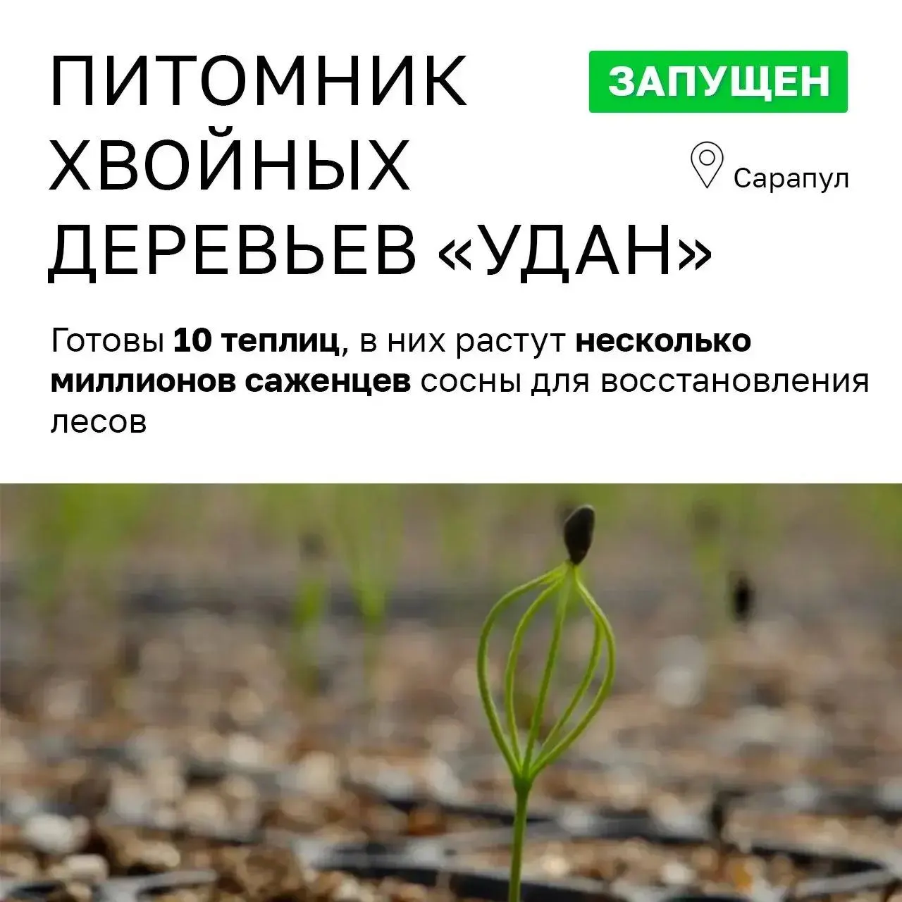 Анализ инвестиционного проекта питомника «УДАН» в Удмуртии: громкие заявления на форуме и реальные показатели — низкая выручка, жалобы жителей и смена правовой формы с ограничением прозрачности владельцев.