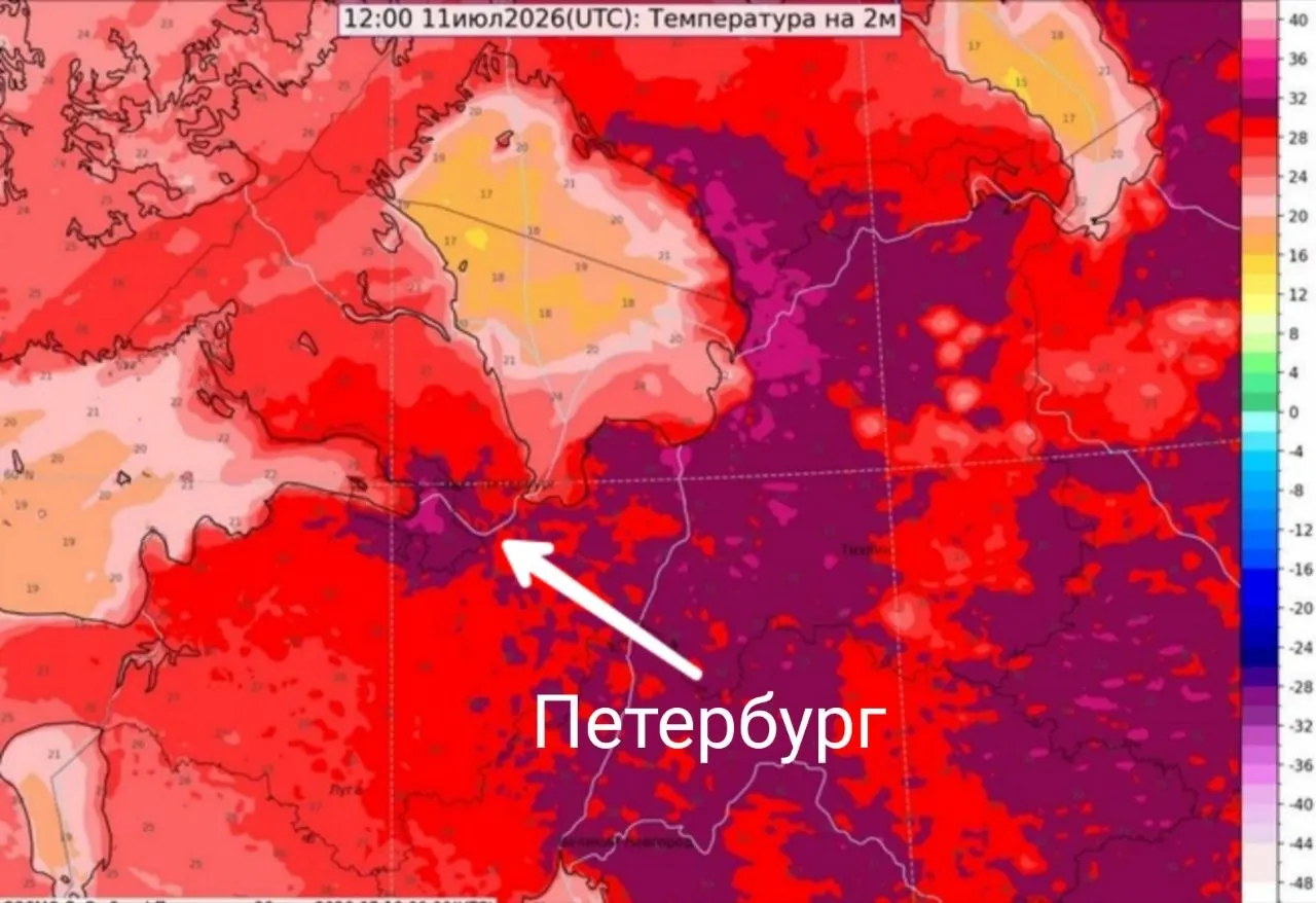 С 6:00 до 21:00 11 июля в Санкт-Петербурге ожидаются грозы; воздух прогреется до +30°C. Температура воды в Неве и восточной части Финского залива утром 10 июля достигала +18–20°C и продолжит повышаться.