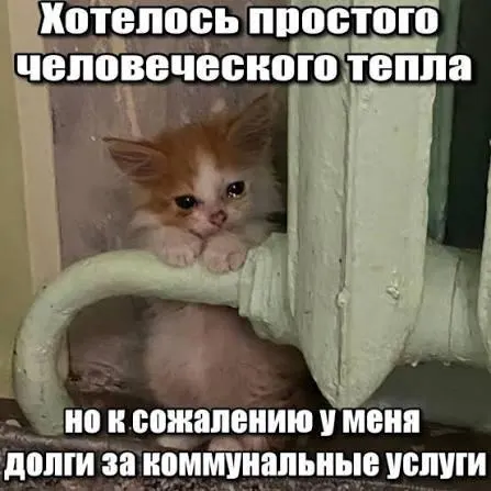 Суд признал, что истёкший трёхлетний срок исковой давности лишает кредитора права на принудительное взыскание долгов по капитальному ремонту.