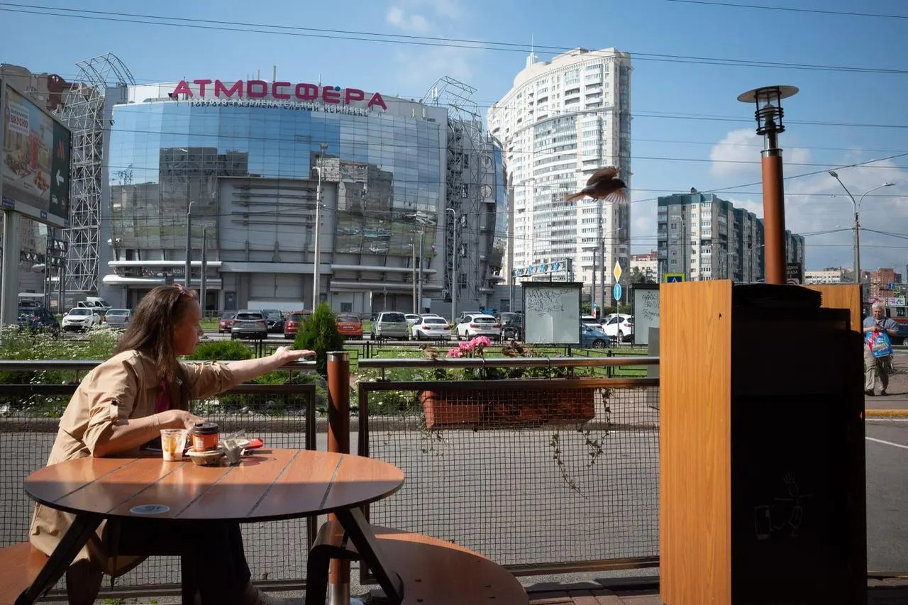 Утром около +16 °C, днем +24…+26 °C; без осадков, слабый ветер.