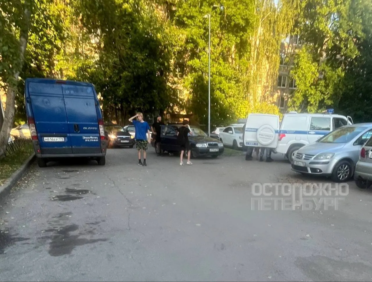 Во дворе дома в Колпино агрессивная собака без намордника укусила девочку; прохожие оказали помощь и вызвали полицию.