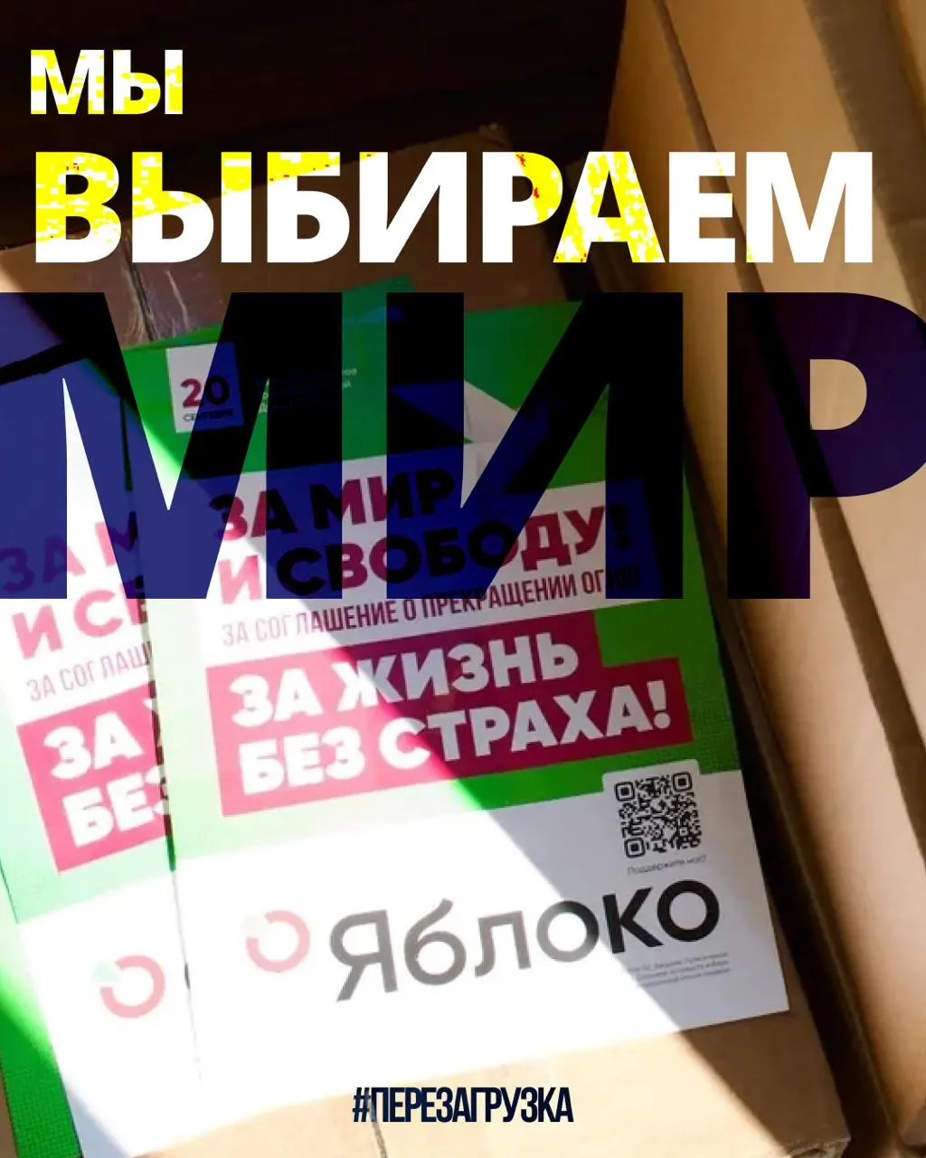 В 53 регионах идёт кампания 135 кандидатов; на карте регионов можно выбрать свой регион и найти сторонников мира и свободы. 20 сентября — важный день для голосования.