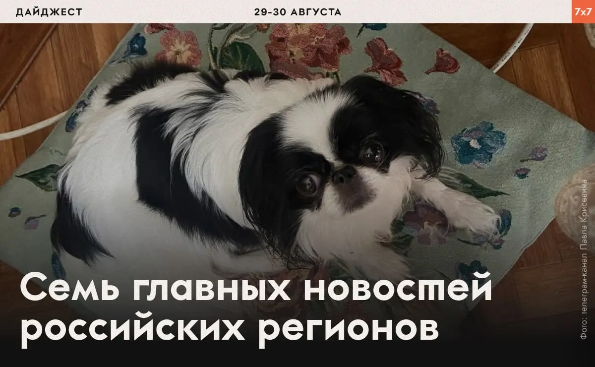 Дайджест о случаях давления на политических активистов, ограничении агитации и новых обвинениях в разных регионах страны.