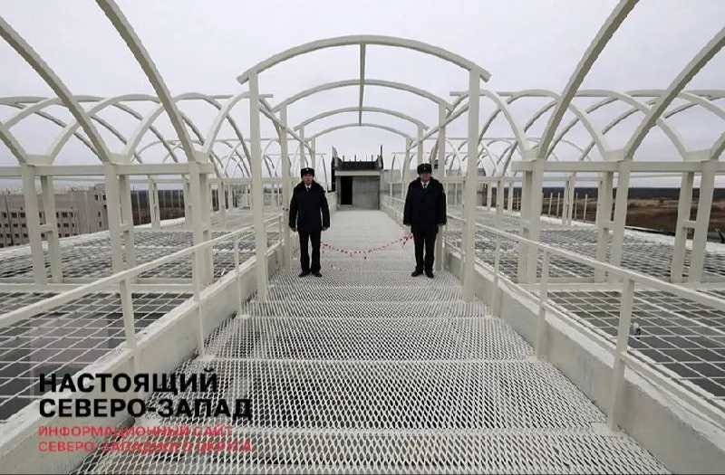 Адвокаты Петербурга жалуются на затруднения с доступом к подзащитным в СИЗО: долгие очереди, записи через Госуслуги и платные услуги занятости мест.