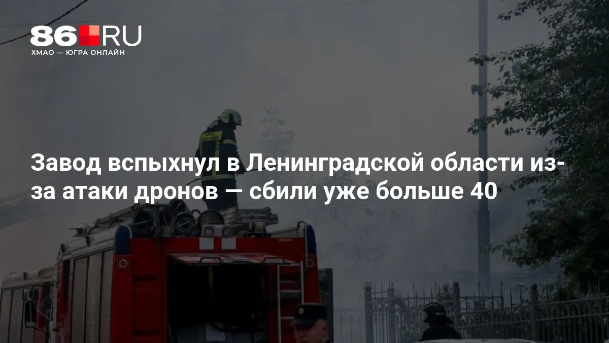 В Ленинградской области загорелся завод после атаки дронов; сообщается, что беспилотники летели в сторону Москвы.