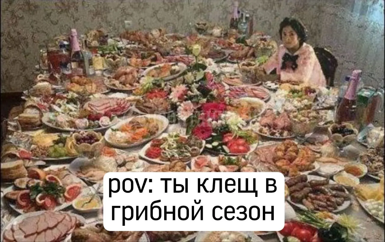 79% укусов зафиксировано в Ленобласти, около 12% — в Санкт-Петербурге; наибольшее число случаев в Курортном районе.