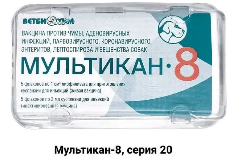 Владельцы собак, погибших после вакцинации препаратом «Мультикан-8», призывают к открытым проверкам и установлению причин гибели.