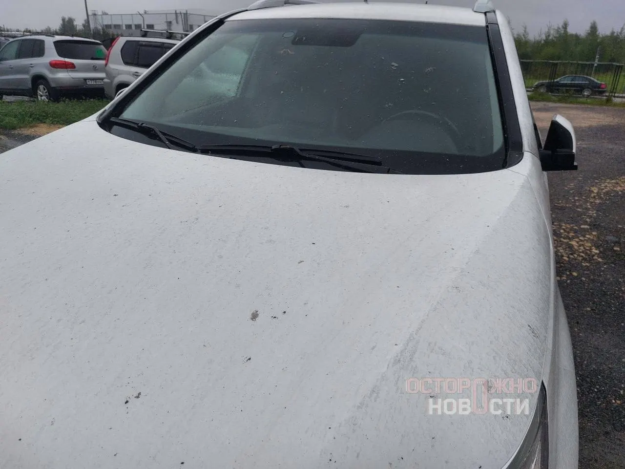 После крупного пожара на складе во Шушарах на Колпинском шоссе копоть осела на автомобилях в Купчино; движение нескольких автобусных маршрутов изменено.