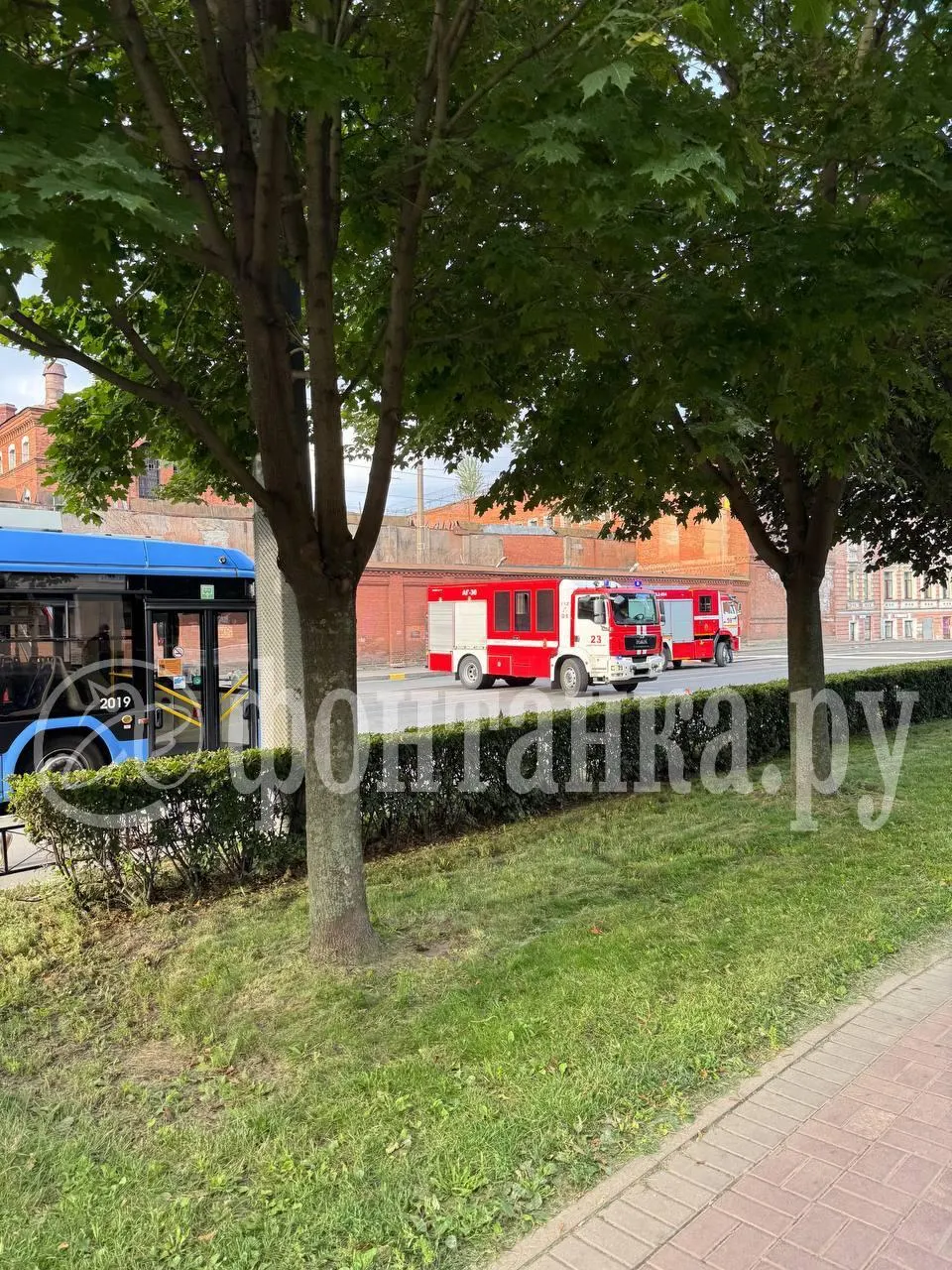Пожар на улице Михайлова в Санкт-Петербурге: здание на 350 кв.м охвачено огнем; ликвидация произошла поздно ночью (02:27).