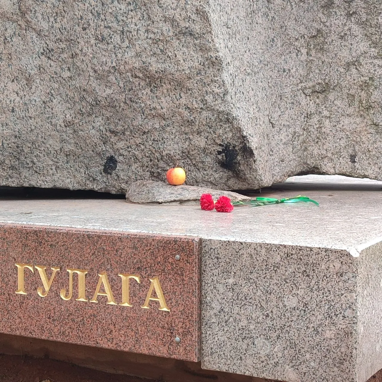 В Петербурге продолжаются проверки по регистрации кандидатов на выборы, суды обязали перерассмотреть решения, а на железной дороге произошёл инцидент, вызвавший общественный резонанс. Также обсуждают дела о деятельности нежелательных организаций и призывы к террору.