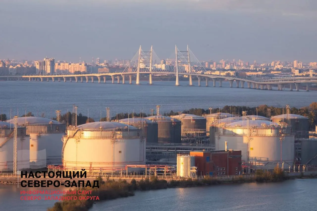Совладелица Петербургского нефтяного терминала «Росхиму» Елена Васильева оспаривает продажу 55% акций, утверждая, что государство нарушило её преимущественное право выкупа.