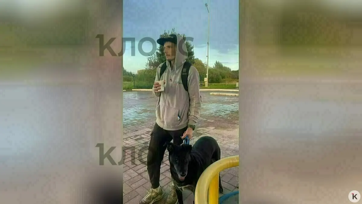 33-летний Максим, переехавший в Калининградскую область ради любви, получил предложения по работе и жилью, а также поддержку для себя и своего пса.
