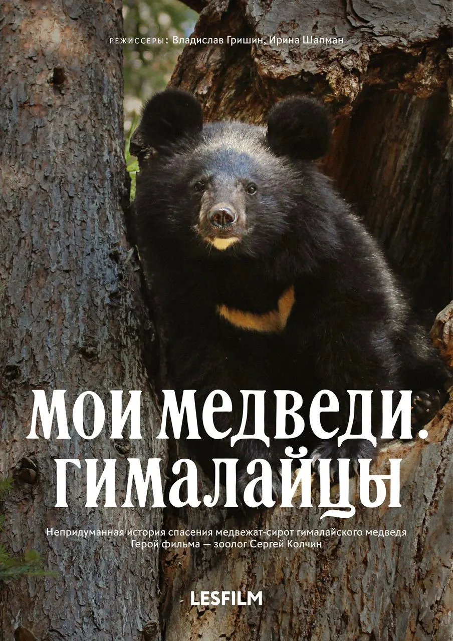 Международный фестиваль экологического документального кино «Экочашка» состоится в октябре в Москве и Санкт-Петербурге. В программе — фильмы о природе и взаимосвязях в мире.