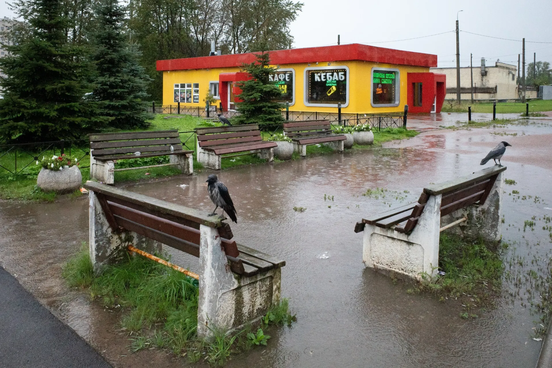 Развод экс-депутата Максима Резника, политические заявления и свежие события в Петербурге, а также важные новости России и мира.