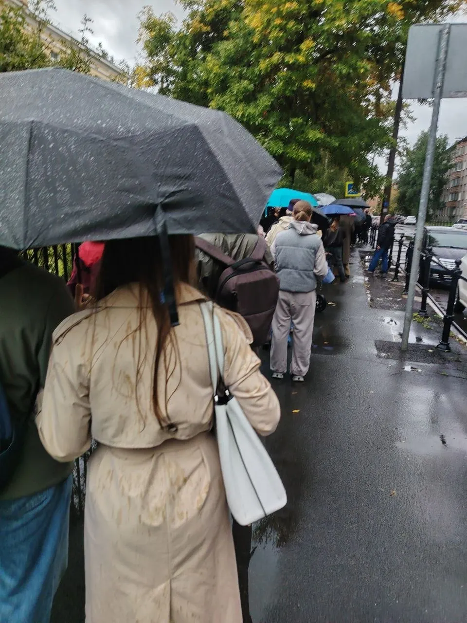 В Приморском районе Санкт-Петербурга фиксируются очереди у участков после полудня: задержки, эвакуации и ограниченный доступ к помещениям.