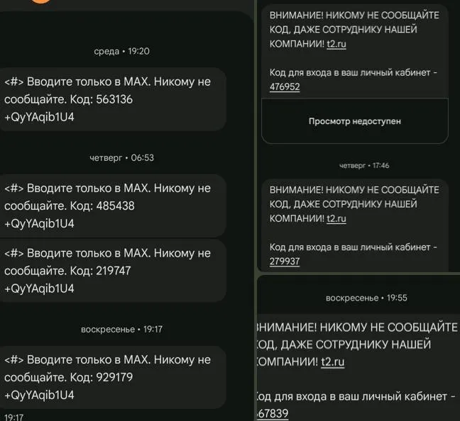 Региональное отделение партии заявило о повторяющихся попытках несанкционированного доступа к соцсетям кандидатов и к госмессенджеру; особое внимание — кандидату по округу 211, Анастасии Кизюковой.