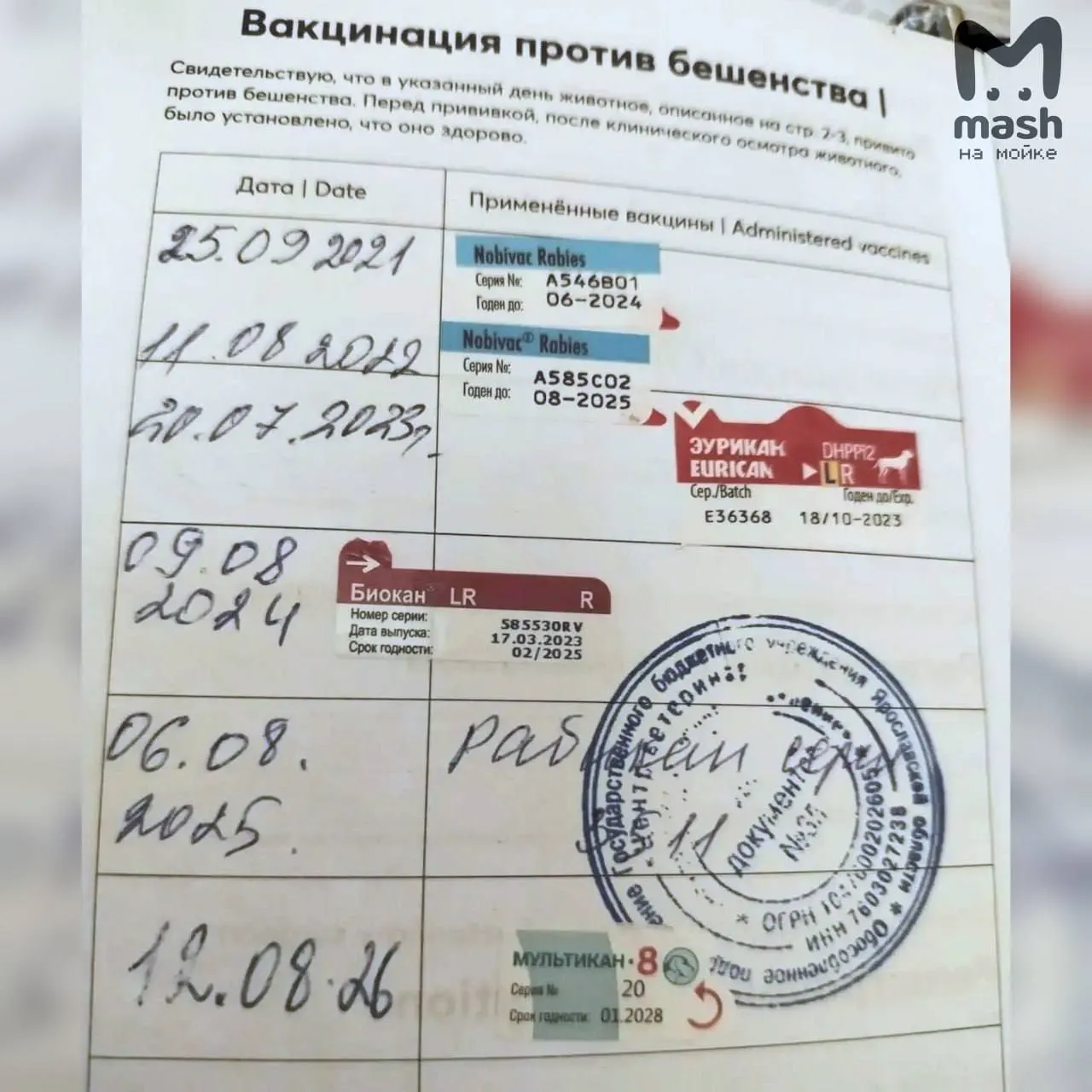 После вакцинации вакциной Мультикан-8 в Ярославской области зафиксированы гибели десятков собак; отозвана 20-я серия вакцины, начаты проверки прокуратуры и Россельхознадзора; аналогичные случаи зарегистрированы в Санкт-Петербурге.
