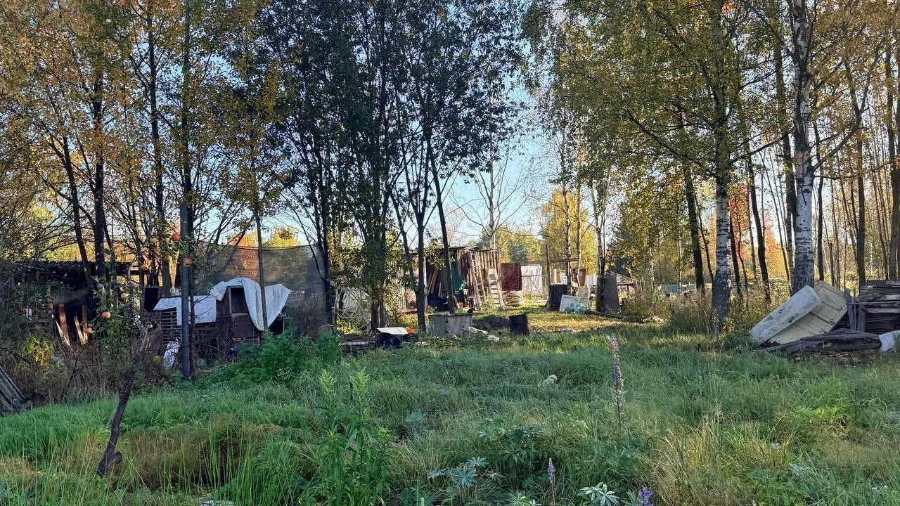 Участки садоводческого товарищества будут освобождены для строительства кампуса Санкт-Петербургского университета МВД. Демонтаж запланирован на 26 октября; прошлые договоры на бессрочное пользование не оформлялись.