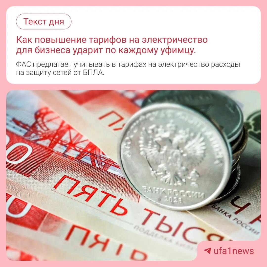 ФАС предложила изменить формулу расчета тарифов, чтобы учитывались затраты сетевых компаний на защиту электросетей от беспилотников; аналитик поясняет возможность роста цен.