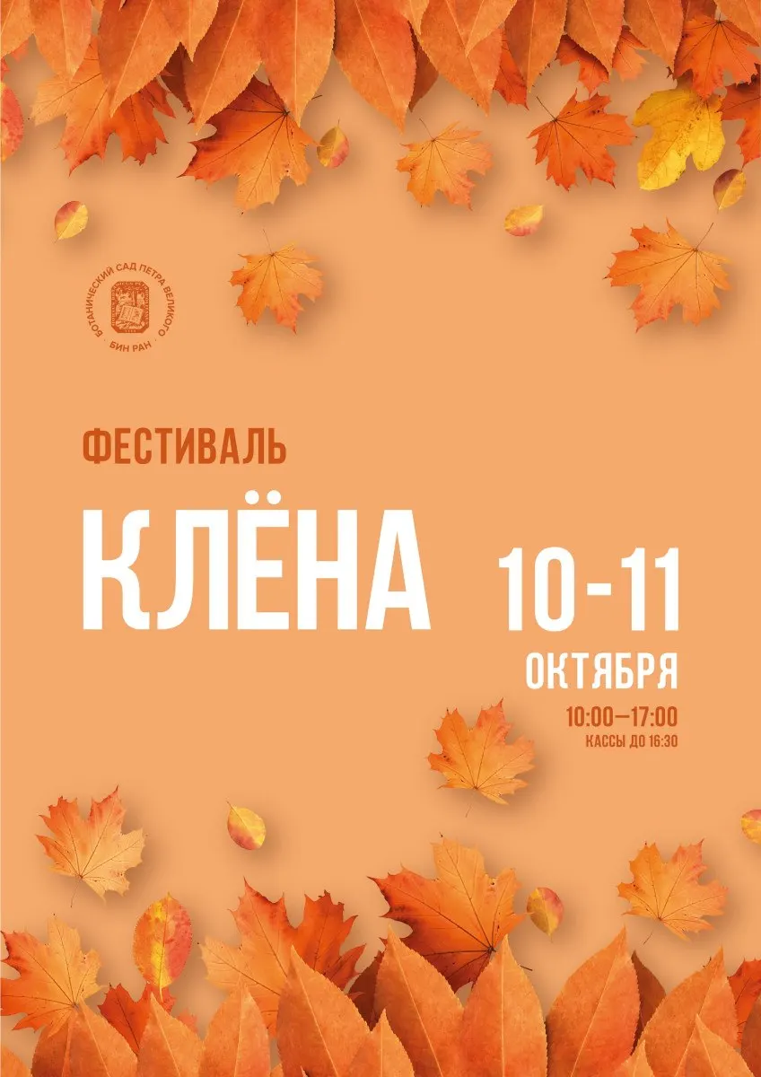 Гербарий откроют для посетителей фестиваля кленов в Ботаническом саду 10 и 11 октября. Программа включает дегустацию сиропов, ботаническую викторину и мастер-классы.
