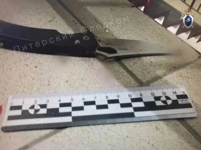На проспекте Науки мужчина напал на двух женщин, затем покончил с собой; пострадавшие 40 и 65 лет получили медицинскую помощь.