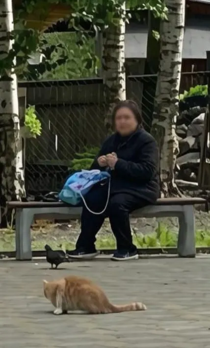 Пенсионерка выезжала в города и забирала крупные суммы у незнакомцев по поручениям мошенников; задержана в Санкт-Петербурге, расследование охватывает несколько регионов.